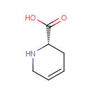 31456-71-0 (2S)-1,2,3,6-tetrahydropyridine-2-carboxylic acid chemical structure
