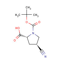 132622-80-1 (2R,4S)-4-cyano-1-[(2-methylpropan-2-yl)oxycarbonyl]pyrrolidine-2-carboxylic acid chemical structure