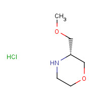 218594-74-2 (3R)-3-(methoxymethyl)morpholine;hydrochloride chemical structure