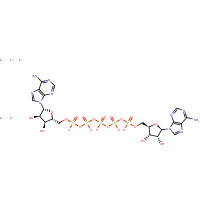94108-02-8 pentalithium;bis[[[(2R,3S,4R,5R)-5-(6-aminopurin-9-yl)-3,4-dihydroxyoxolan-2-yl]methoxy-oxidophosphoryl]oxy-oxidophosphoryl] phosphate chemical structure