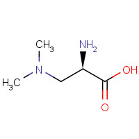 206559-98-0 (2R)-2-amino-3-(dimethylamino)propanoic acid chemical structure