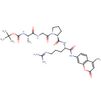 118850-78-5 tert-butyl N-[(2S)-1-[[2-[(2S)-2-[[(2S)-5-(diaminomethylideneamino)-1-[(4-methyl-2-oxochromen-7-yl)amino]-1-oxopentan-2-yl]carbamoyl]pyrrolidin-1-yl]-2-oxoethyl]amino]-1-oxopropan-2-yl]carbamate chemical structure