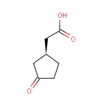2630-37-7 2-[(1S)-3-oxocyclopentyl]acetic acid chemical structure