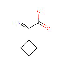 49607-08-1 (2S)-2-amino-2-cyclobutylacetic acid chemical structure