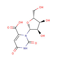 314-50-1 3-[(2R,3R,4S,5R)-3,4-dihydroxy-5-(hydroxymethyl)oxolan-2-yl]-2,6-dioxopyrimidine-4-carboxylic acid chemical structure