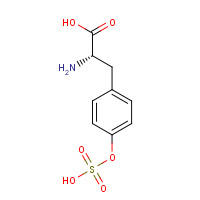 956-46-7 (2S)-2-amino-3-(4-sulfooxyphenyl)propanoic acid chemical structure