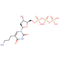 90015-82-0 [[(2R,3S,5R)-5-[5-(3-aminopropyl)-2,4-dioxopyrimidin-1-yl]-3-hydroxyoxolan-2-yl]methoxy-hydroxyphosphoryl] phosphono hydrogen phosphate chemical structure