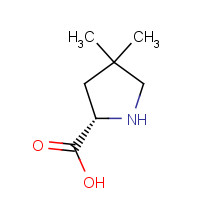 891183-50-9 (2S)-4,4-dimethylpyrrolidine-2-carboxylic acid chemical structure