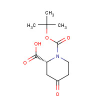 1212176-33-4 (2R)-1-[(2-methylpropan-2-yl)oxycarbonyl]-4-oxopiperidine-2-carboxylic acid chemical structure