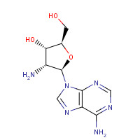 10414-81-0 (2R,3S,4R,5R)-4-amino-5-(6-aminopurin-9-yl)-2-(hydroxymethyl)oxolan-3-ol chemical structure