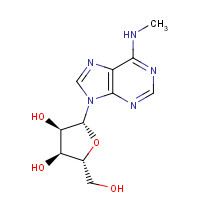 1867-73-8 (2R,3S,4R,5R)-2-(hydroxymethyl)-5-[6-(methylamino)purin-9-yl]oxolane-3,4-diol chemical structure
