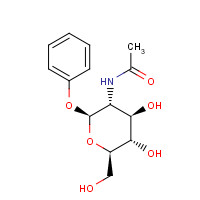 5574-80-1 N-[(2S,3R,4R,5S,6R)-4,5-dihydroxy-6-(hydroxymethyl)-2-phenoxyoxan-3-yl]acetamide chemical structure