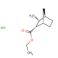 95630-76-5 ethyl (1S,2S,3R,4R)-3-aminobicyclo[2.2.1]heptane-2-carboxylate;hydrochloride chemical structure