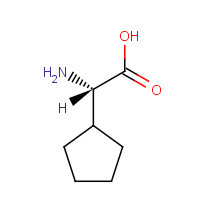 2521-84-8 L-Cyclopentylglycine chemical structure