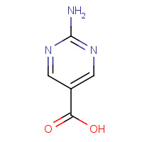 3167-50-8 2-Aminopyrimidine-5-carboxylic acid chemical structure