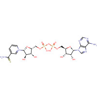 4090-29-3 Thionicotinamide adenine dinucleotide chemical structure