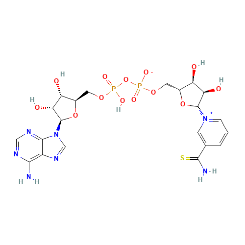 4090-29-3 Thionicotinamide adenine dinucleotide chemical structure