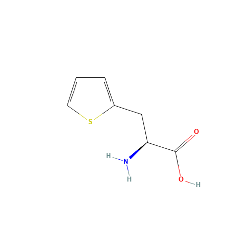 22951-96-8 L-2-Thienylalanine chemical structure