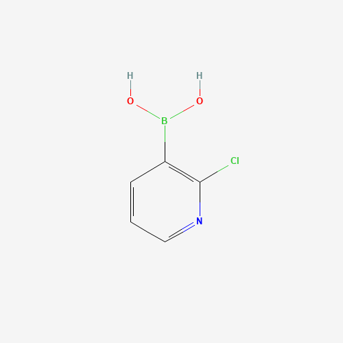 381248-04-0 2-Chloro-3-pyridineboronic acid chemical structure