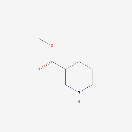 50585-89-2 Methyl piperidine-3-carboxylate chemical structure