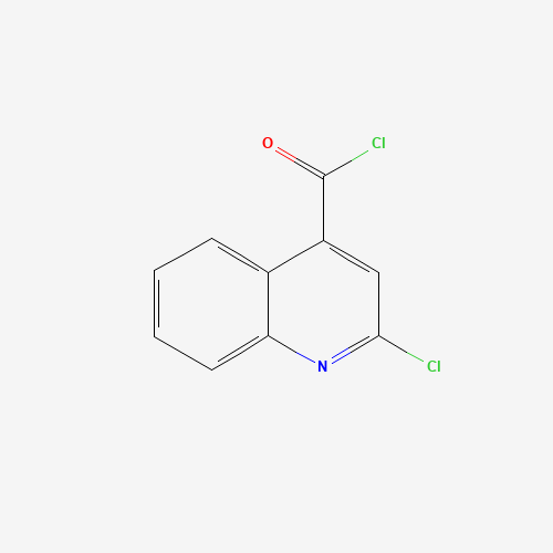2388-32-1 2-Chloro quinoline-4-chloroformyl chemical structure