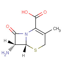 22252-43-3 7-ADCA chemical structure