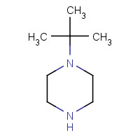 38216-72-7 N-tert-Butylpiperazine chemical structure