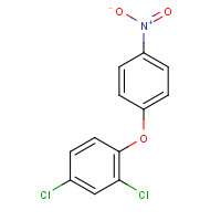 1836-75-5 2,4-Dichloro-1-(4-nitrophenoxy)benzene chemical structure