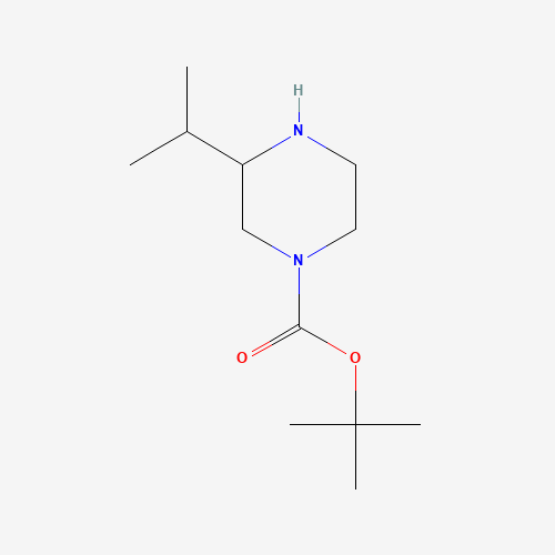502649-32-3 1-Boc-3-isopropyl-piperazine chemical structure