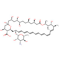 1397-89-3 Amphotericin B chemical structure