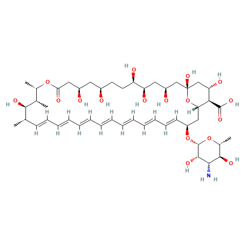 1397-89-3 Amphotericin B chemical structure