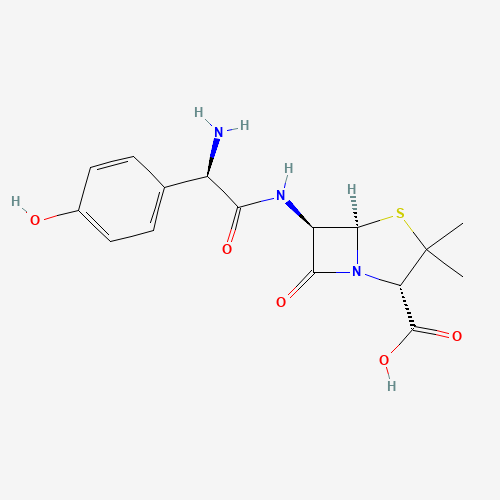 26787-78-0 Amoxicillin chemical structure