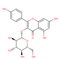 480-10-4 ASTRAGALIN chemical structure