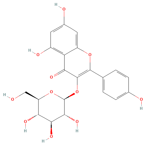 480-10-4 ASTRAGALIN chemical structure
