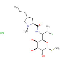 58207-19-5 CLINDAMYCIN HYDROCHLORIDE chemical structure
