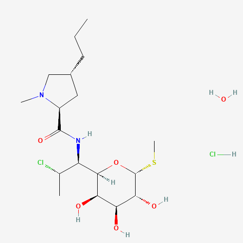 58207-19-5 CLINDAMYCIN HYDROCHLORIDE chemical structure