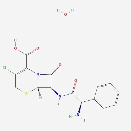 70356-03-5 Cefaclor monohydrate chemical structure