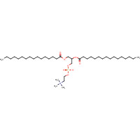 63-89-8 1,2-DIPALMITOYL-SN-GLYCERO-3-PHOSPHOCHOLINE chemical structure