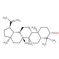 545-47-1 Lupeol chemical structure