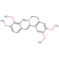 3486-67-7 Palmatine chemical structure