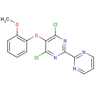 150728-13-5 4,6-Dichloro-5-(2-methoxyphenoxy)-2,2'-bipyrimidine chemical structure