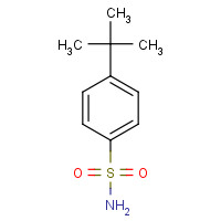6292-59-7 4-tert-Butylbenzenesulfonamide chemical structure