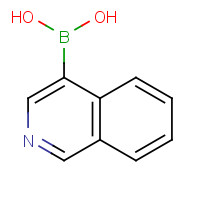 192182-56-2 4-Isoquinolineboronic acid chemical structure