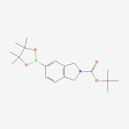 905273-91-8 tert-butyl 5-(4,4,5,5-tetramethyl-1,3,2-dioxaborolan-2-yl)isoindoline-2-carboxyl chemical structure