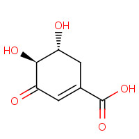 2922-42-1 (-)-3-DEHYDROSHIKIMIC ACID chemical structure