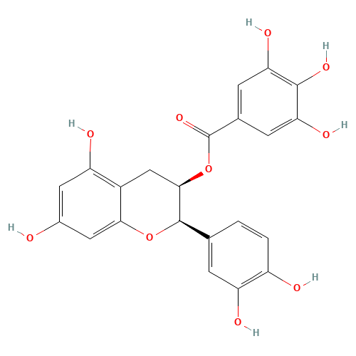 1257-08-5 (-)-Epicatechin gallate chemical structure