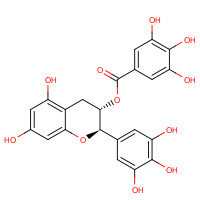 989-51-5 (-)-Epigallocatechin gallate chemical structure