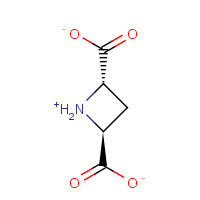 161596-62-9 (+/-)-TRANS-AZETIDINE-2,4-DICARBOXYLIC ACID chemical structure