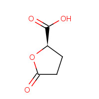 53558-93-3 (R)-(-)-5-OXOTETRAHYDROFURAN-2-CARBOXYLIC ACID chemical structure