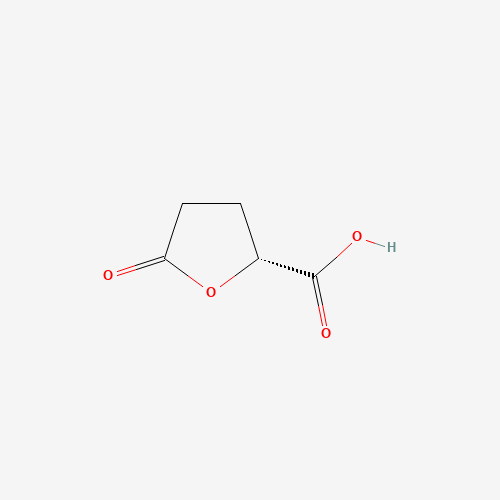 53558-93-3 (R)-(-)-5-OXOTETRAHYDROFURAN-2-CARBOXYLIC ACID chemical structure